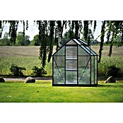 Halls Gewächshaus Icon 6 Stegdoppelplatten (Außenmaß inkl. Dachüberstand (B x T): 192,5 x 130,3 cm, Material Seitenwand: Glas, 4 mm, Schwarz) | BAUHAUS
