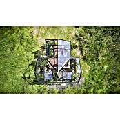 Halls Gewächshaus Icon Gardenhouse (Außenmaß inkl. Dachüberstand (B x T): 321,7 x 319,4 cm, Material Seitenwand: Glas, 3 mm, Schwarz) | BAUHAUS