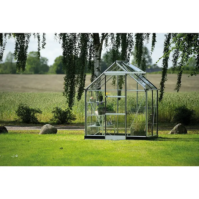 Halls Gewächshaus Icon 6 Blankglas - Außenmaß inkl. Dachüberstand (B x T): 192,5 x 130,3 cm, Material Seitenwand: Glas, 3 mm, Aluminium - Ein transparentes, kleines Gewächshaus mit Regalen, das mit verschiedenen Pflanzen gefüllt ist, steht auf einem Rasen unter einem Baum.