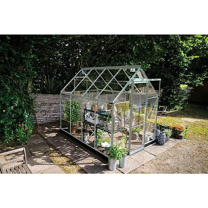 Halls Gewächshaus Icon 6 Blankglas - Außenmaß inkl. Dachüberstand (B x T): 192,5 x 254,7 cm, Material Seitenwand: Glas, 3 mm, Aluminum - Ein Gewächshaus im Garten, gefüllt mit Pflanzen und Regalen, umgeben von Grün. Es bietet Schutz und optimale Bedingungen für Pflanzen.