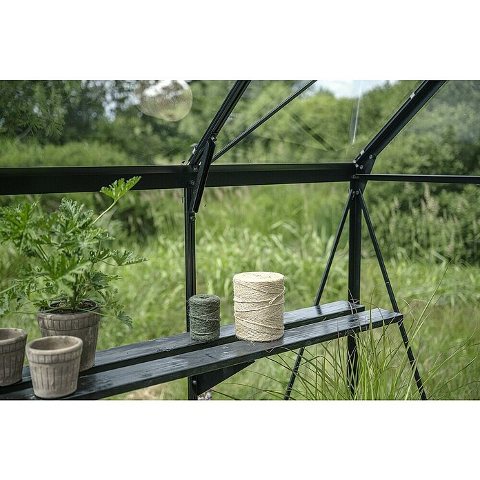 Halls Gewächshaus Icon Gardenhouse (Außenmaß inkl. Dachüberstand (B x T): 321,7 x 319,4 cm, Material Seitenwand: Glas, 3 mm, Schwarz) | BAUHAUS