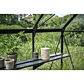 Halls Gewächshaus Icon Gardenhouse (Außenmaß inkl. Dachüberstand (B x T): 321,7 x 319,4 cm, Material Seitenwand: Glas, 3 mm, Schwarz) | BAUHAUS