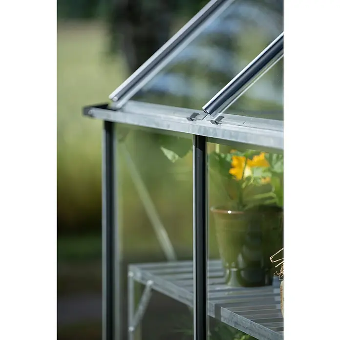 Halls Gewächshaus Icon 8 Einscheiben-Sicherheitsglas - Außenmaß inkl. Dachüberstand (B x T): 254,7 x 316,9 cm, Material Seitenwand: Glas, 3 mm, Aluminium - Nahaufnahme eines Gewächshauses mit Pflanzen im Inneren, das durch klare Glasscheiben und einen stabilen Rahmen geschützt wird.