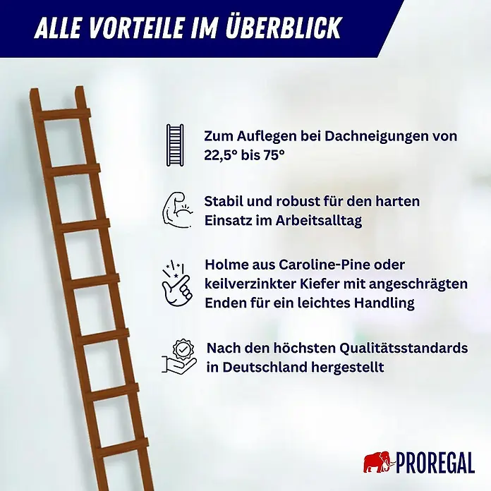 Proregal Dachleiter mit 12 Sprossen - Anzahl Tritte: 12 Stk., Holz - Braune Holz-Dachleiter für verschiedene Dachneigungen.