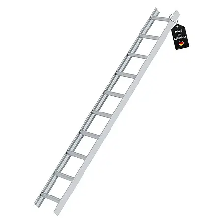 Proregal  Dachleiter mit 10 Sprossen