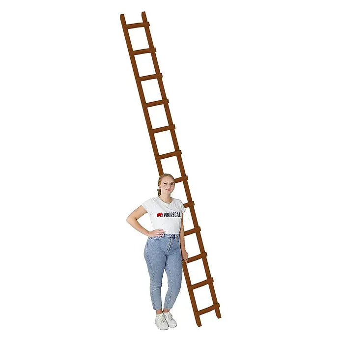 Proregal Dachleiter mit 12 Sprossen - Anzahl Tritte: 12 Stk., Holz - Hohe braune Holzleiter lehnt, eine Frau steht daneben zur Größenveranschaulichung.