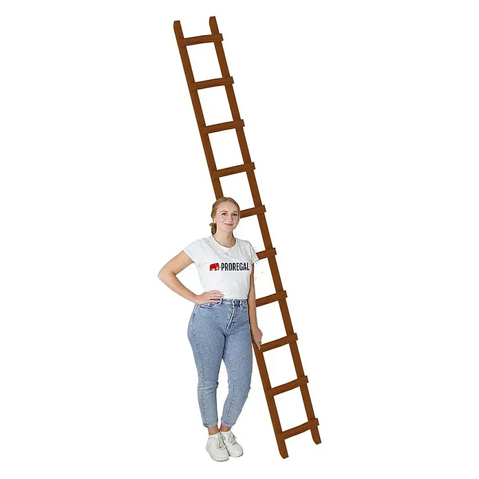 Proregal Dachleiter mit 10 Sprossen - Anzahl Tritte: 10 Stk., Holz - Frau in PROREGAL T-Shirt steht neben einer hohen braunen Holzleiter.