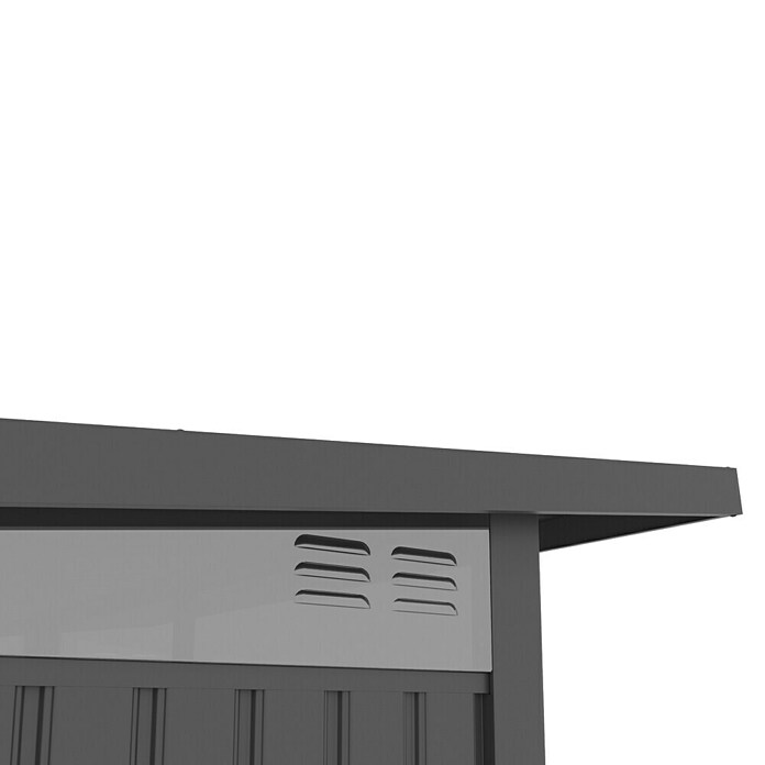 Gardol Gerätehaus Style Max (Außenmaß inkl. Dachüberstand (B x T): 289 x 253 cm, Stahl, Schwarz) | BAUHAUS