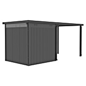 Gardol Prizidek za vrtno lopo Cubus & Cubus Max  (230 x 275 cm, Jeklo, Črna) | 7447 - Zubehör Gartenhäuser Metall | IAGD - Gartenhäuser | IAG - Außenbereichsausstattung | IA - Gartenhartware | I - Stadtgarten | BAUHAUS