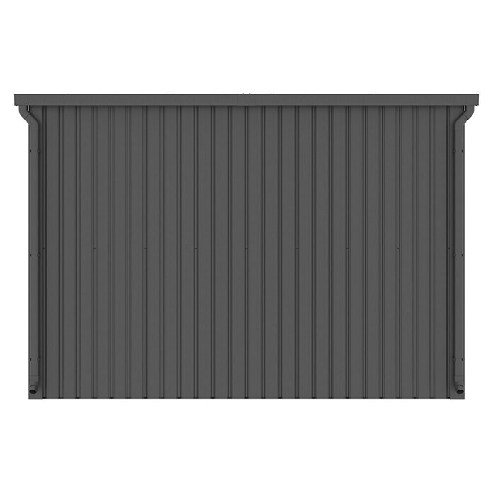 Gardol Gerätehaus Style Max (Außenmaß inkl. Dachüberstand (B x T): 289 x 253 cm, Stahl, Schwarz) | BAUHAUS