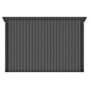 Gardol Gerätehaus Style Max (Außenmaß inkl. Dachüberstand (B x T): 289 x 253 cm, Stahl, Schwarz) | BAUHAUS
