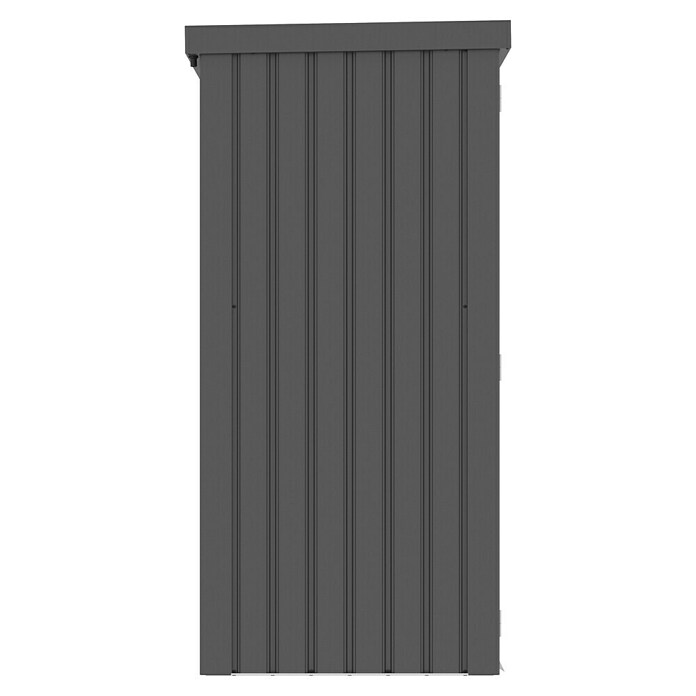 Gardol Geräteschrank Prime (Außenmaß inkl. Dachüberstand (B x T): 133 x 90 cm, Schwarz) | BAUHAUS
