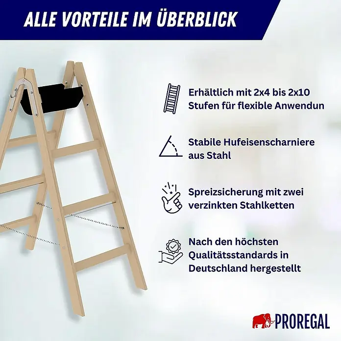 Proregal Doppel-Stehleiter mit 10 Sprossen - Anzahl Tritte: 10 Stk., Arbeitshöhe: 2.800 mm, Belastbarkeit: 150 kg, Holz - Eine helle Holz-Klappleiter mit schwarzer Plattform und Sicherheitsketten, offen stehend.