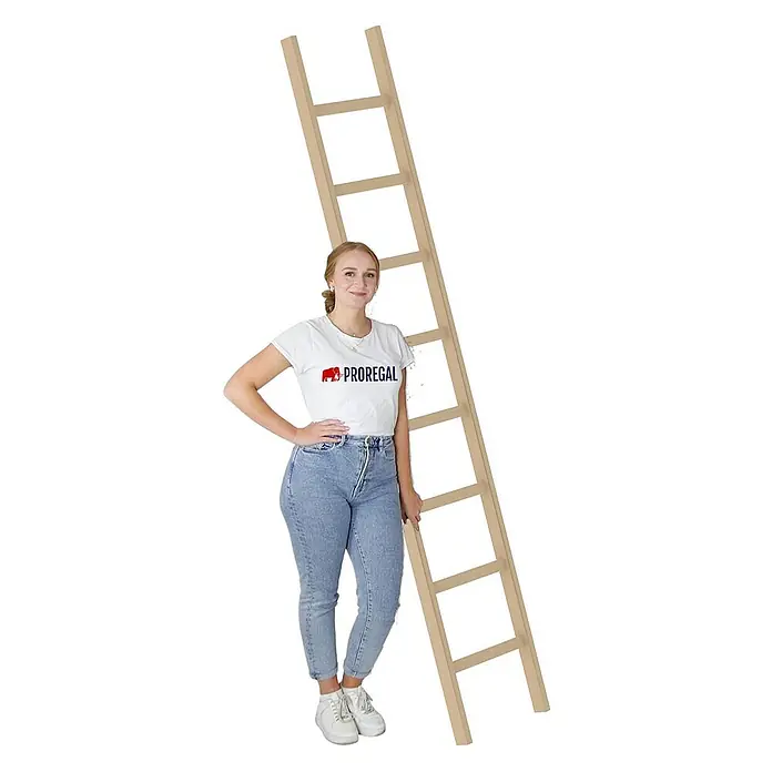 Proregal Anlegeleiter mit 8 Sprossen - Anzahl Tritte: 8 Stk., Arbeitshöhe: 3.500 mm, Belastbarkeit: 150 kg, Holz
