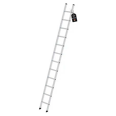 Proregal  Anlegeleiter mit 12 Sprossen