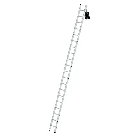Proregal  Anlegeleiter mit 20 Sprossen