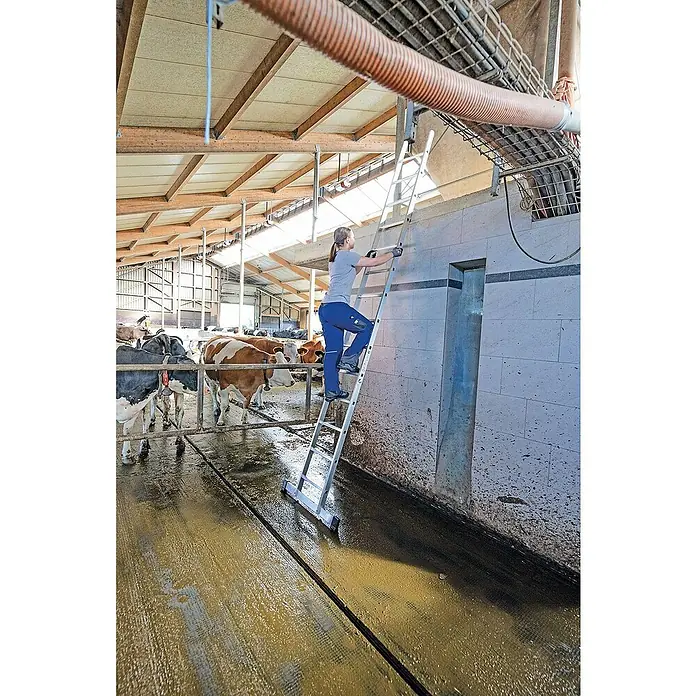 Proregal Anlegeleiter mit Standard-Traverse - Anzahl Tritte: 20 Stk., Arbeitshöhe: 6.900 mm, Belastbarkeit: 150 kg, Aluminium - Frau auf einer silbernen Aluminiumleiter in einem Stall, ausgefahren, um einen hohen Punkt zu erreichen.