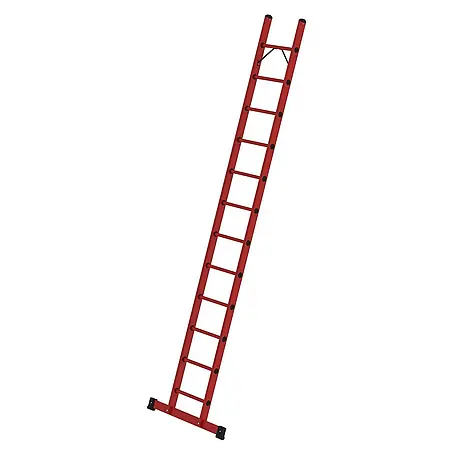 Proregal  Anlegeleiter mit 12 Sprossen