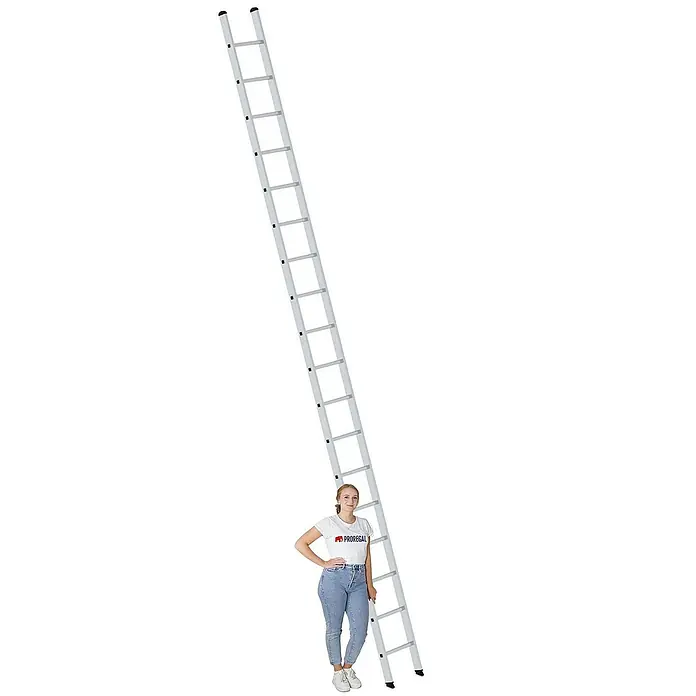 Proregal Anlegeleiter mit 18 Sprossen - Anzahl Tritte: 18 Stk., Arbeitshöhe: 5.900 mm, Belastbarkeit: 150 kg, Aluminium