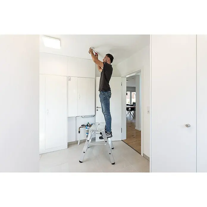 Proregal Doppel-Klapptritt beidseitig begehbar - Anzahl Tritte: 8 Stk., Arbeitshöhe: 2.930 mm, Belastbarkeit: 150 kg, Aluminium