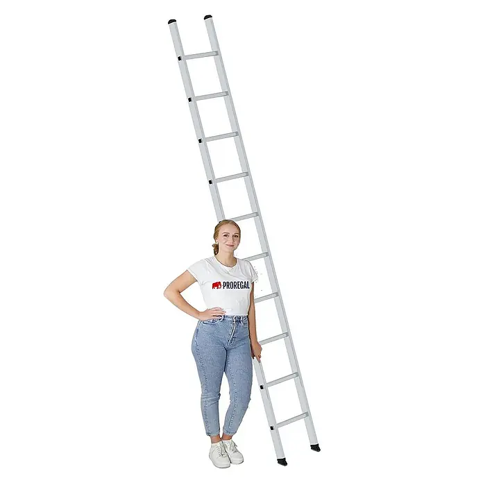 Proregal Anlegeleiter mit 10 Sprossen - Anzahl Tritte: 10 Stk., Arbeitshöhe: 4.100 mm, Belastbarkeit: 150 kg, Aluminium - Hohe silberne Leiter mit einer daneben stehenden Frau zur Größenveranschaulichung.