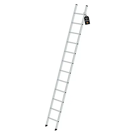 Proregal  Anlegeleiter mit 12 Sprossen