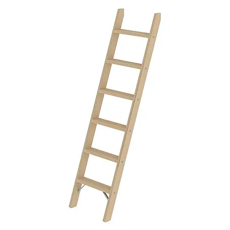 Proregal  Anlegeleiter mit 6 Stufen