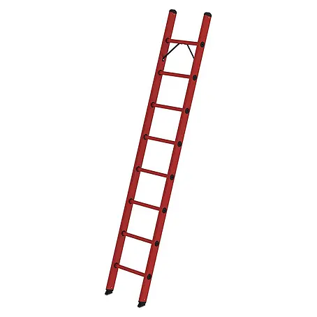 Proregal  Anlegeleiter mit 8 Sprossen