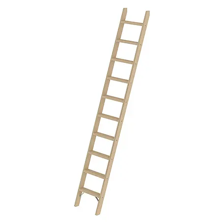 Proregal  Anlegeleiter mit 10 Stufen