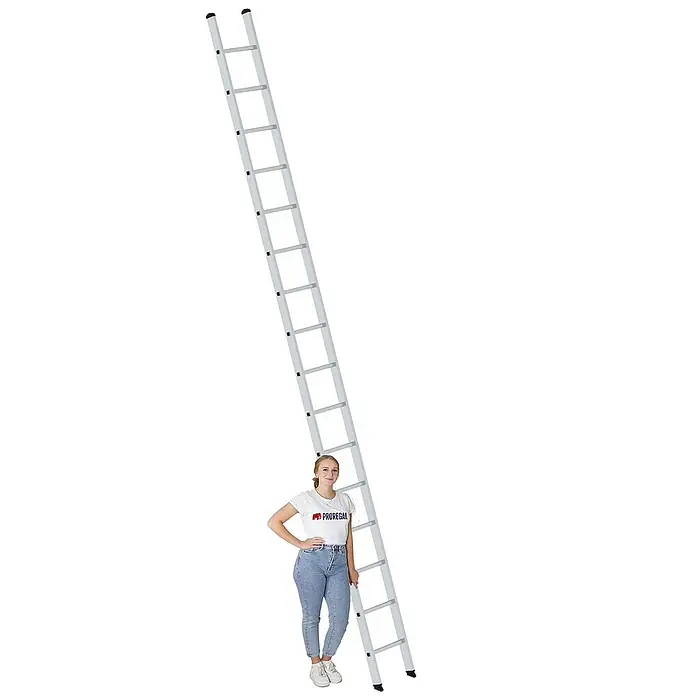 Proregal Anlegeleiter mit 16 Sprossen - Anzahl Tritte: 16 Stk., Arbeitshöhe: 5.400 mm, Belastbarkeit: 150 kg, Aluminium - Sehr lange silberne Aluminiumleiter mit vielen Sprossen, eine Frau steht daneben als Größenvergleich.