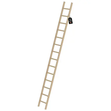 Proregal  Anlegeleiter mit 14 Sprossen