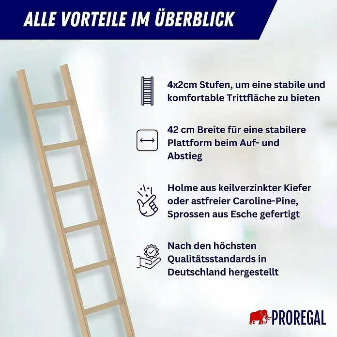 Proregal Anlegeleiter mit 14 Sprossen - Anzahl Tritte: 14 Stk., Arbeitshöhe: 5.300 mm, Belastbarkeit: 150 kg, Holz - Hellbraune Holzleiter mit breiten, flachen Stufen für komfortables Steigen.