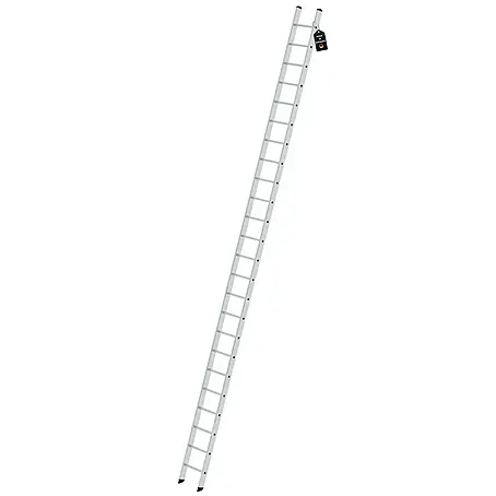 Proregal  Anlegeleiter mit 24 Sprossen