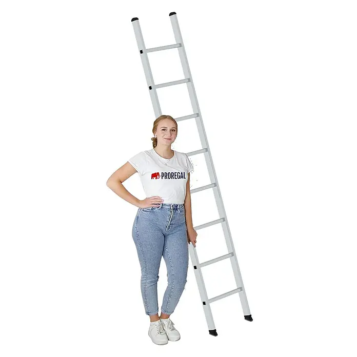 Proregal Anlegeleiter mit 8 Sprossen - Anzahl Tritte: 8 Stk., Arbeitshöhe: 3.600 mm, Belastbarkeit: 150 kg, Aluminium - Hohe silberne Leiter, mit einer Frau daneben zur Größenangabe.