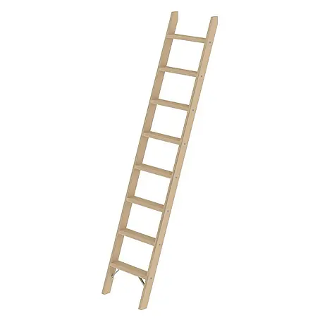 Proregal  Anlegeleiter mit 8 Stufen
