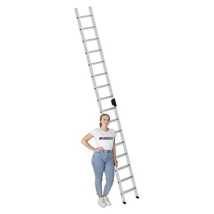 Proregal Anlegeleiter mit 16 Stufen - Anzahl Tritte: 16 Stk., Arbeitshöhe: 5.300 mm, Belastbarkeit: 150 kg, Aluminium