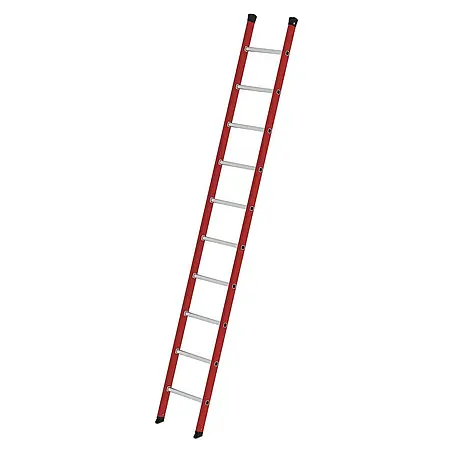 Proregal  Anlegeleiter mit 10 Sprossen
