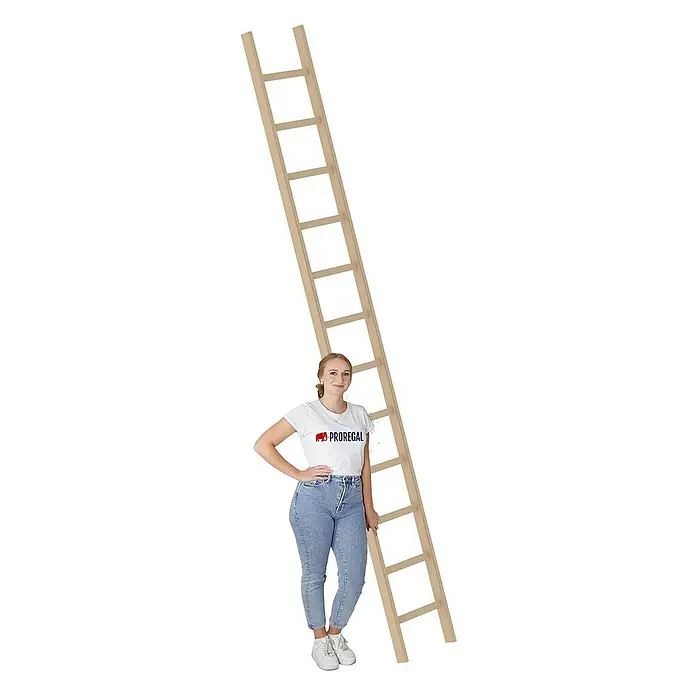 Proregal Anlegeleiter mit 12 Sprossen - Anzahl Tritte: 12 Stk., Arbeitshöhe: 4.700 mm, Belastbarkeit: 150 kg, Holz - Hohe, helle Holzleiter. Eine Frau steht daneben zur Größenbestimmung.