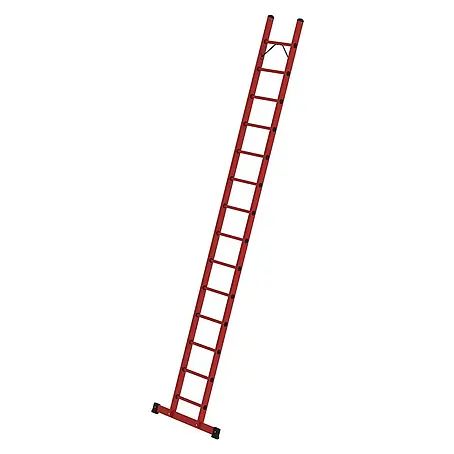 Proregal  Anlegeleiter mit 14 Sprossen