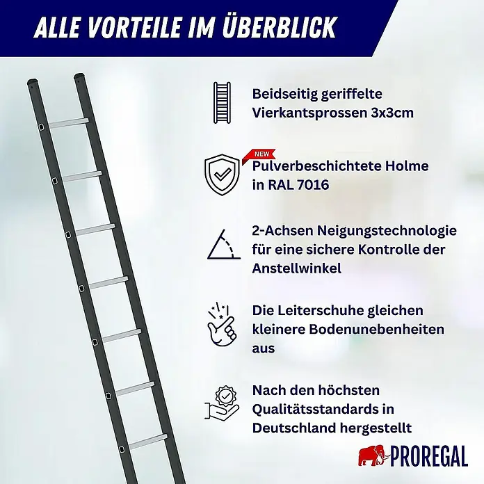 Proregal Anlegeleiter mit 10 Sprossen - Anzahl Tritte: 10 Stk., Arbeitshöhe: 4.100 mm, Aluminium - Dunkelgraue, pulverbeschichtete Anlegeleiter mit geriffelten Vierkantsprossen.