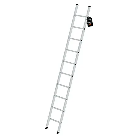 Proregal  Anlegeleiter mit 10 Sprossen
