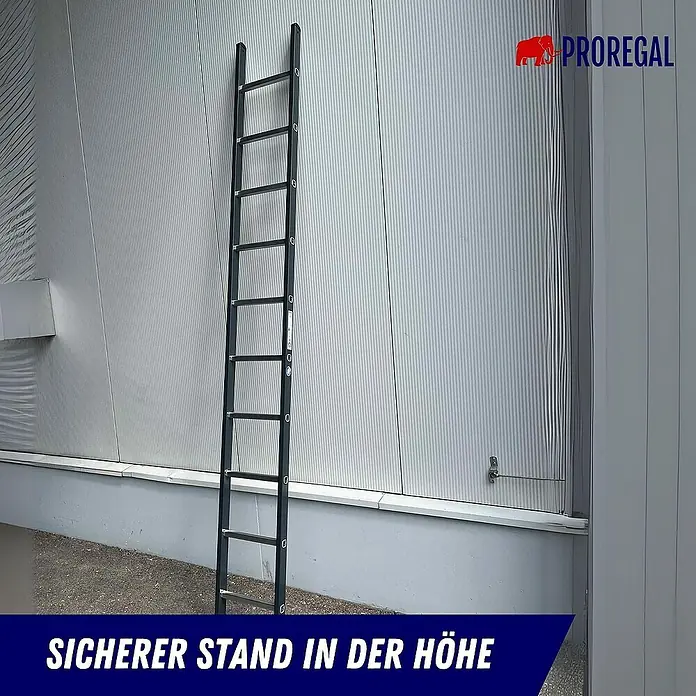 Proregal Anlegeleiter mit 10 Sprossen - Anzahl Tritte: 10 Stk., Arbeitshöhe: 4.100 mm, Aluminium - Robuste dunkle Leiter lehnt an einer Wand, sorgt für sicheren Stand in der Höhe.