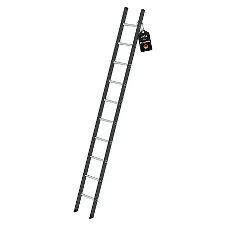 Proregal  Anlegeleiter mit 10 Sprossen
