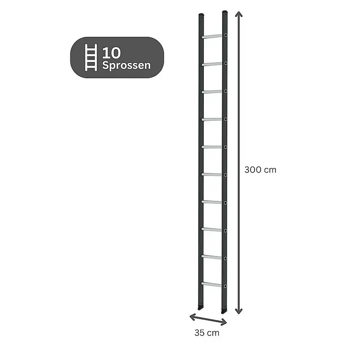 Proregal Anlegeleiter mit 10 Sprossen - Anzahl Tritte: 10 Stk., Arbeitshöhe: 4.100 mm, Aluminium - Dunkelgraue Leiter mit 10 silbernen Sprossen, 300 cm hoch und 35 cm breit.