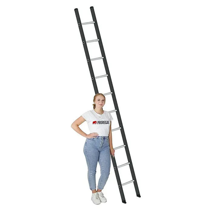 Proregal Anlegeleiter mit 10 Sprossen - Anzahl Tritte: 10 Stk., Arbeitshöhe: 4.100 mm, Aluminium - Hohe, dunkelgraue Aluminiumleiter mit hellgrauen Sprossen, daneben eine Frau zum Größenvergleich.