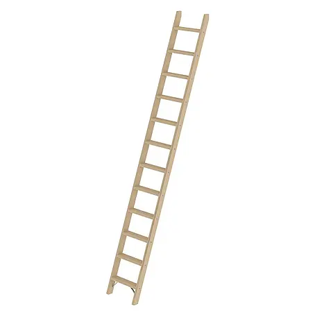 Proregal  Anlegeleiter mit 12 Stufen