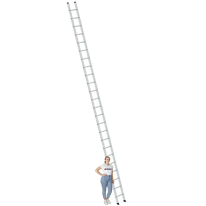 Proregal Anlegeleiter mit 24 Sprossen - Anzahl Tritte: 24 Stk., Arbeitshöhe: 7.400 mm, Belastbarkeit: 150 kg, Aluminium