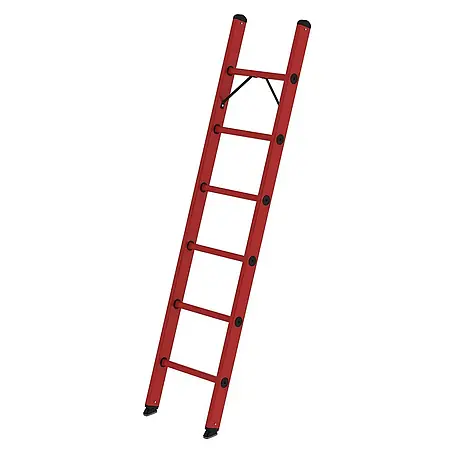 Proregal  Anlegeleiter mit 6 Sprossen