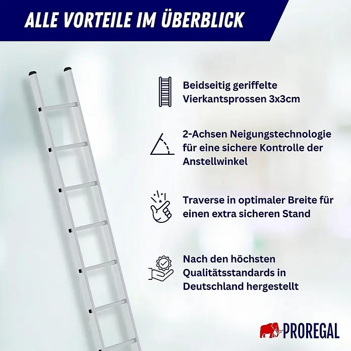 Proregal Anlegeleiter mit nivello®-Traverse - Anzahl Tritte: 16 Stk., Arbeitshöhe: 5.800 mm, Belastbarkeit: 150 kg, Aluminium - Eine silberne Anlegeleiter aus Metall mit geriffelten Vierkantsprossen und schwarzen Kappen.