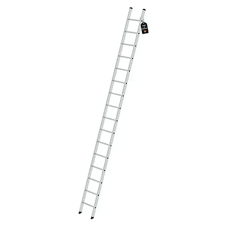 Proregal  Anlegeleiter mit 16 Sprossen